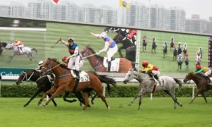 Khám Phá Cơ Hội Thắng Lớn Khi Tham Gia Cá Cược Đua Ngựa Tại Xoso333