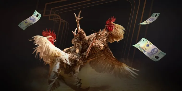 Trải Nghiệm Cá Cược Đá Gà Xoso333 Đẳng Cấp Hàng Đầu Châu Á